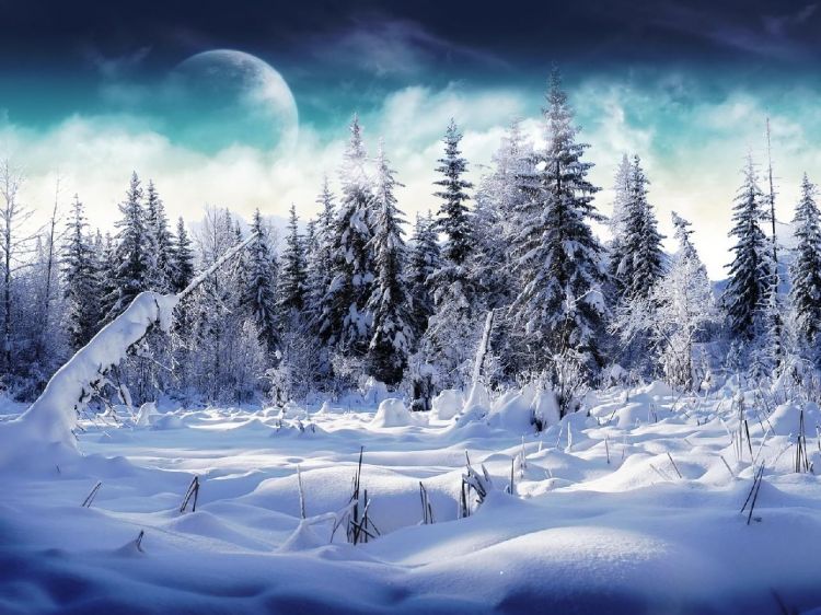 Wallpapers Nature Saisons - Winter Wallpaper N325057