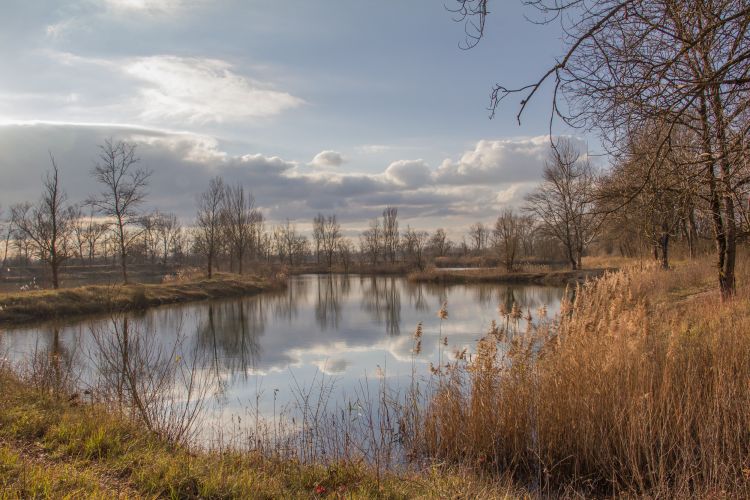 Fonds d'cran Nature Lacs - Etangs etang abandonné