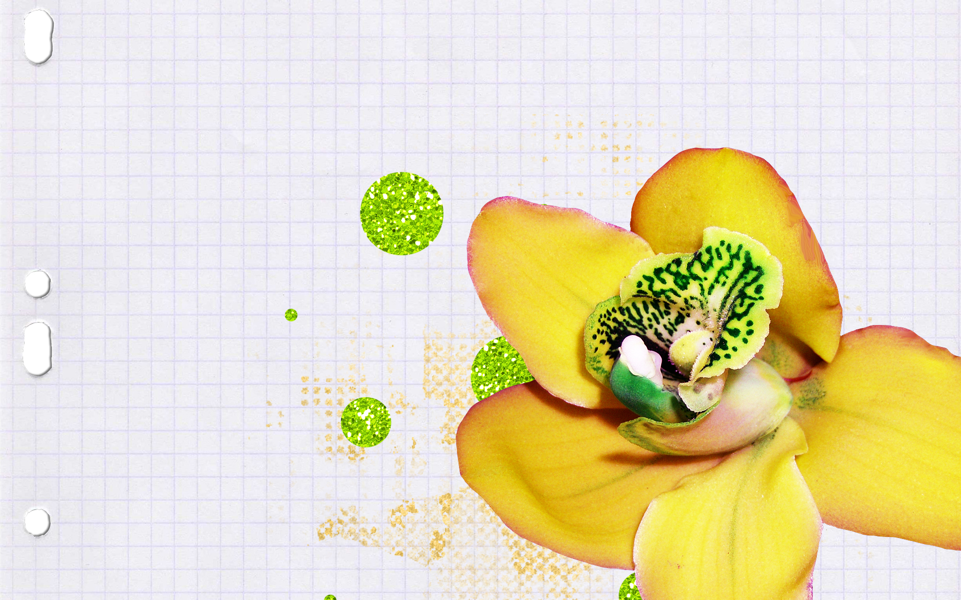 Wallpapers Digital Art Nature - Flowers 