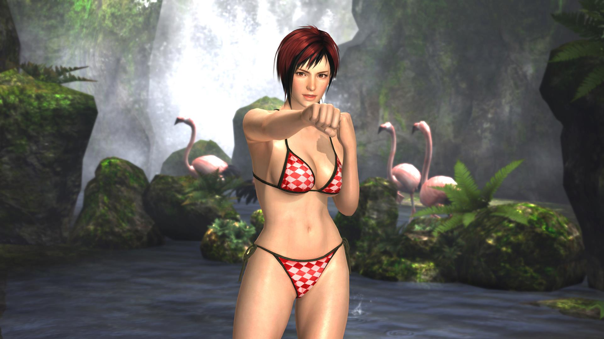 Wallpapers Video Games Dead Or Alive DoA Girls