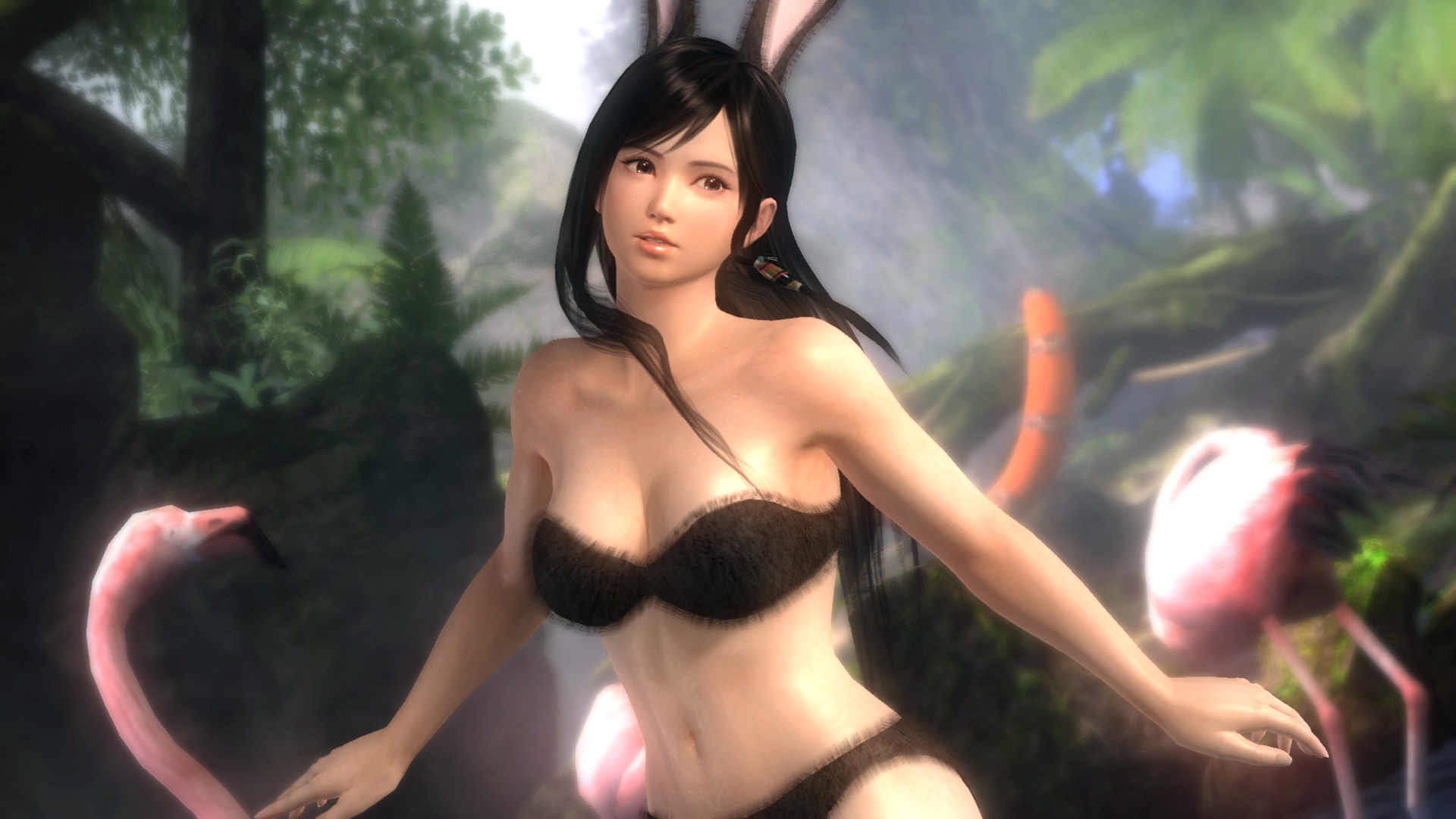 Wallpapers Video Games Dead Or Alive DoA Girls