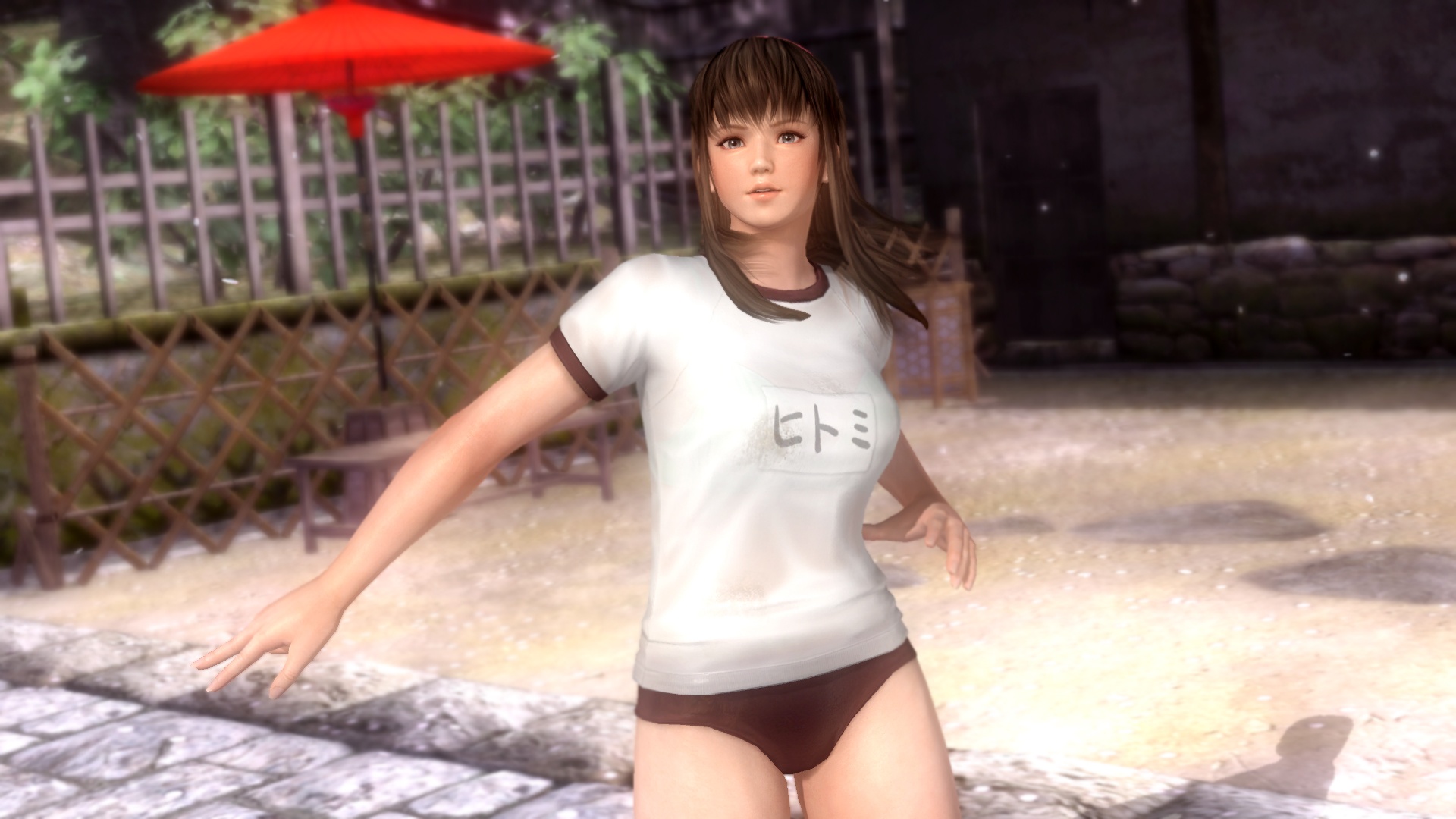 Wallpapers Video Games Dead Or Alive DoA Girls