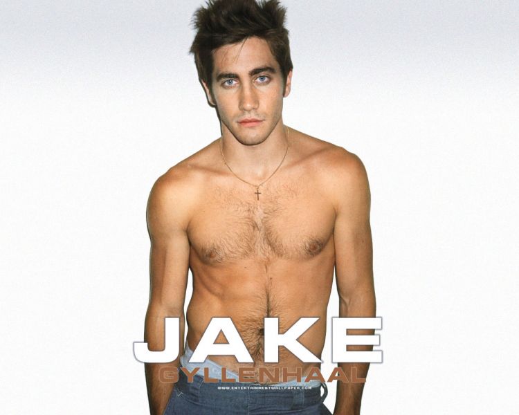 Fonds d'cran Clbrits Homme Jake Gyllenhaal Wallpaper N325469