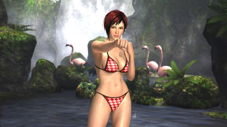 Wallpapers Video Games Dead Or Alive DoA Girls