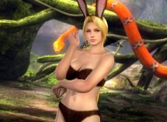  Jeux Vido DoA Girls