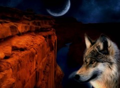  Digital Art loup solitaire