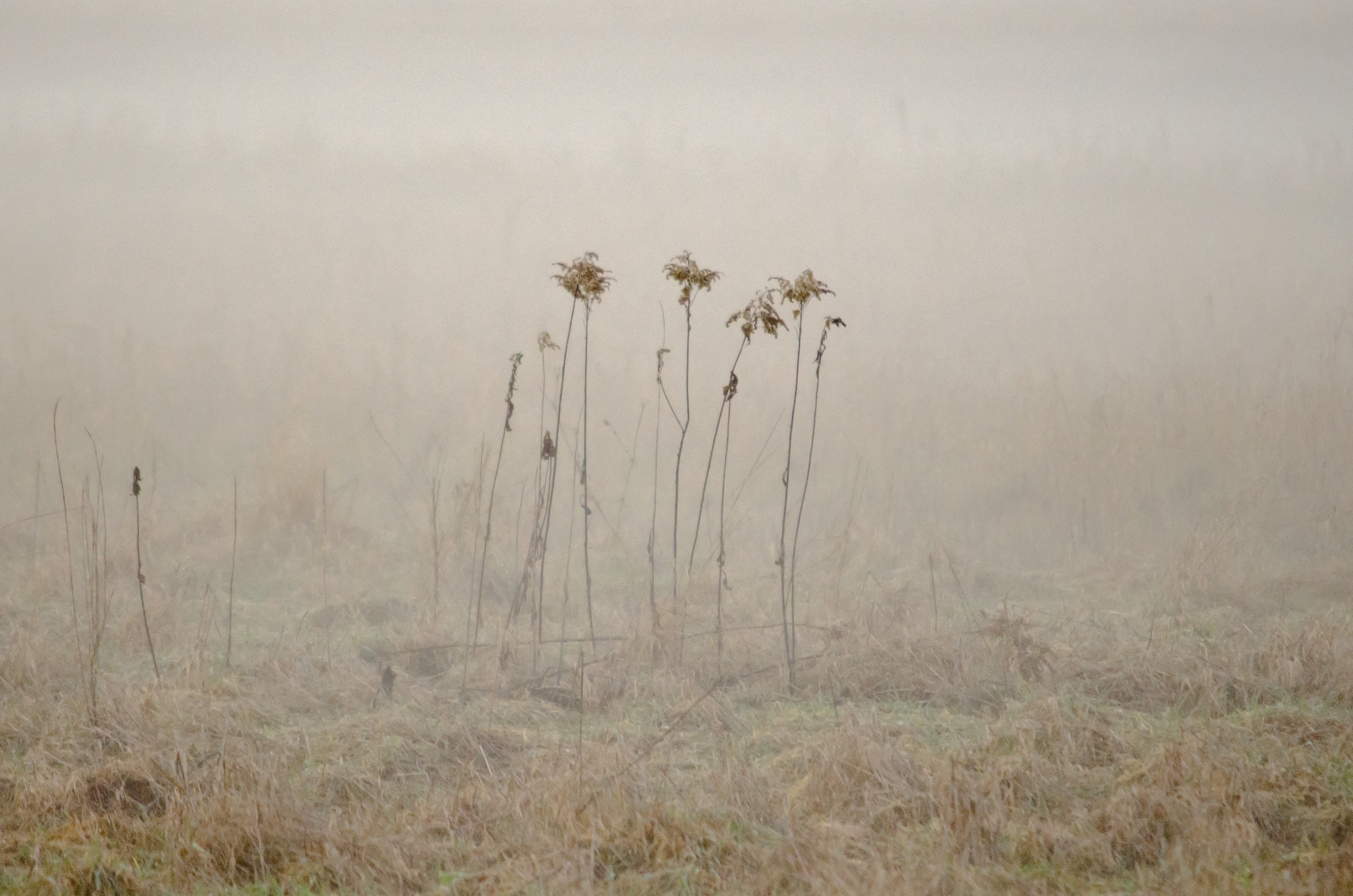 Fonds d'cran Nature Saisons - Hiver 