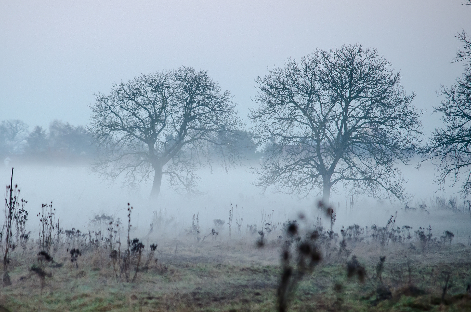 Fonds d'cran Nature Saisons - Hiver 