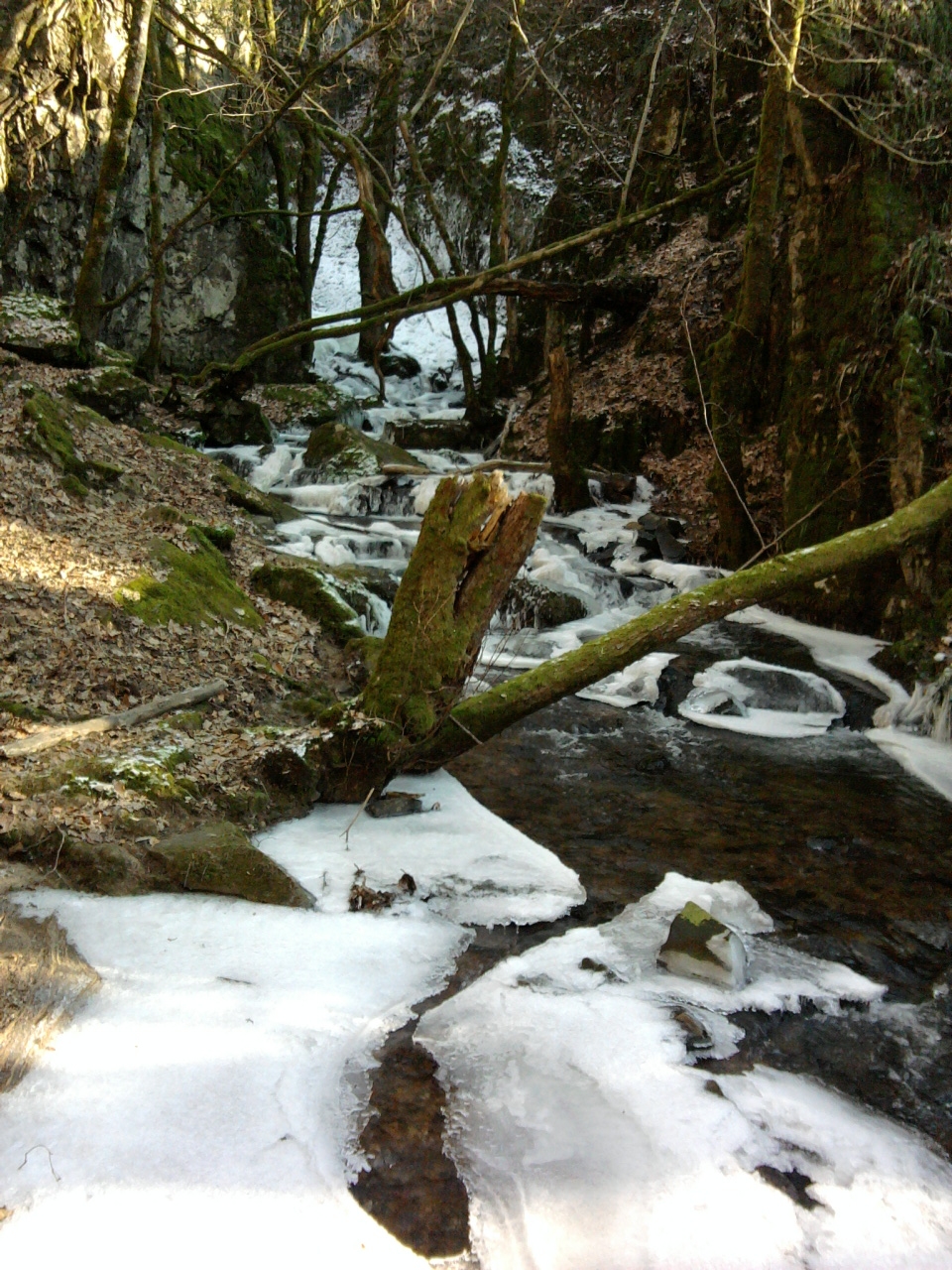 Wallpapers Nature Rivers - Torrents Ruisseau gel.