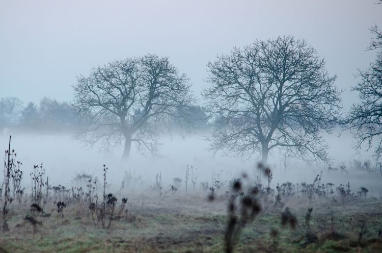 Fonds d'cran Nature Saisons - Hiver Wallpaper N325664