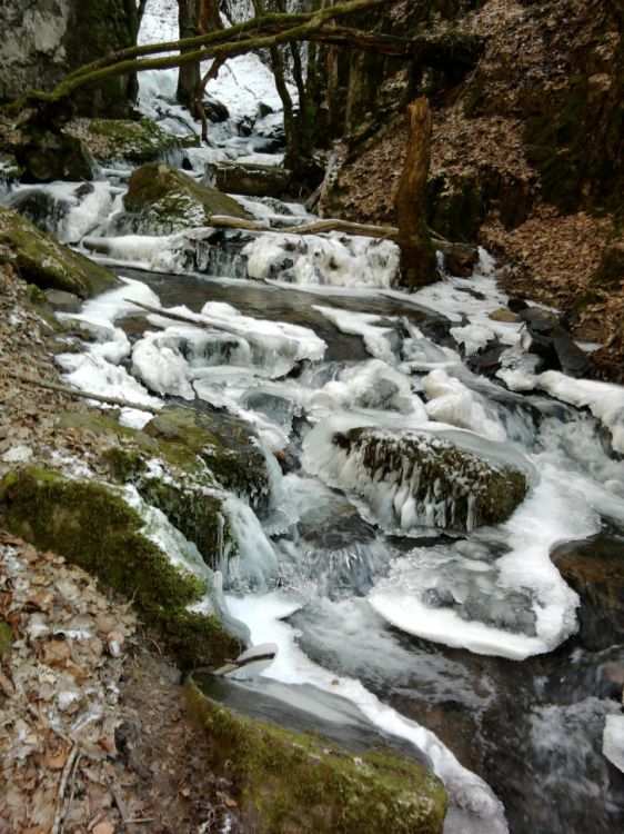 Fonds d'cran Nature Fleuves - Rivires - Torrents Ruisseau gel.