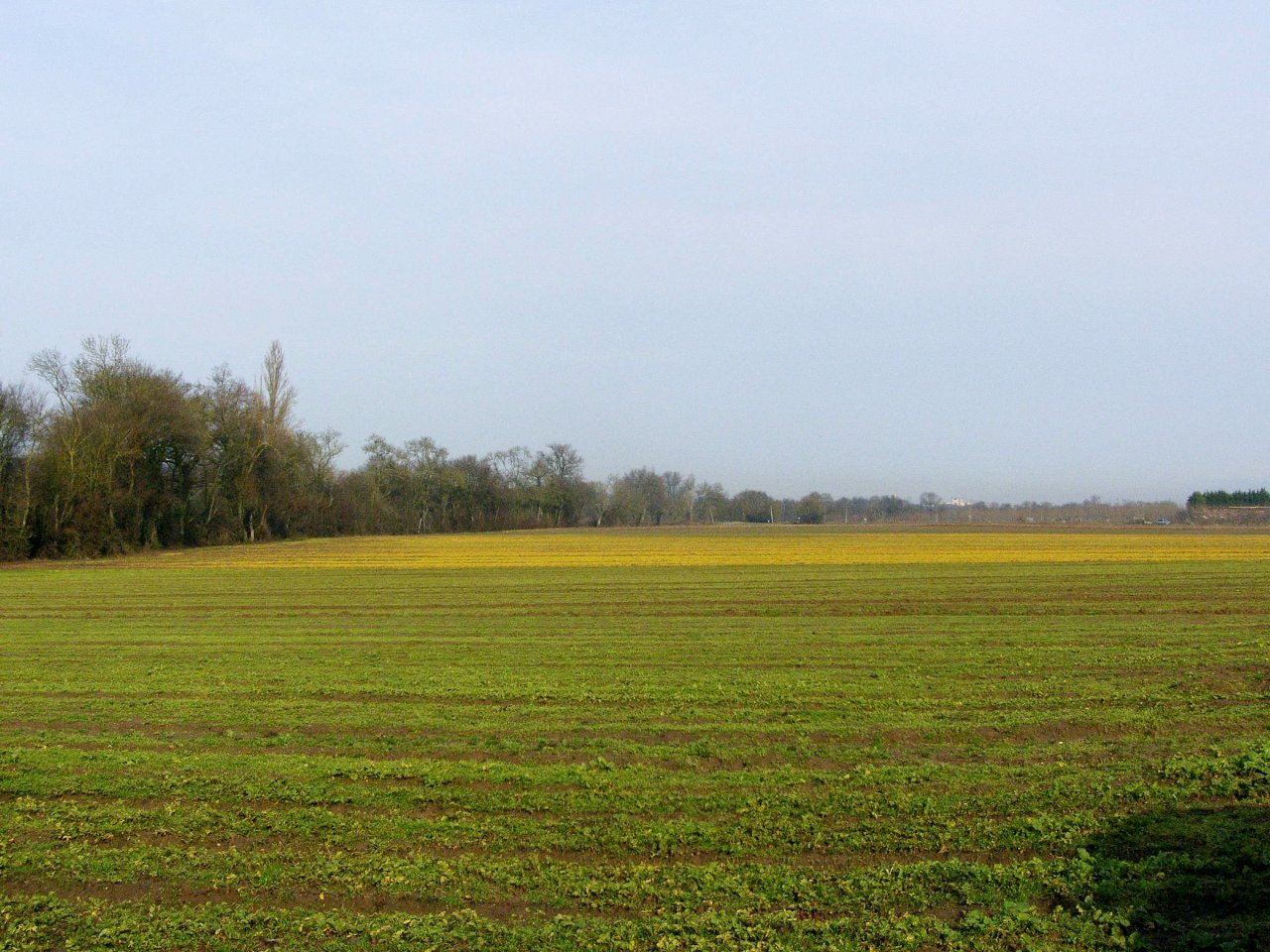 Fonds d'cran Nature Campagne 