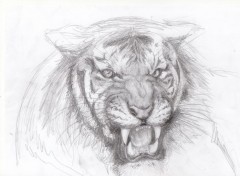  Art - Pencil Grr