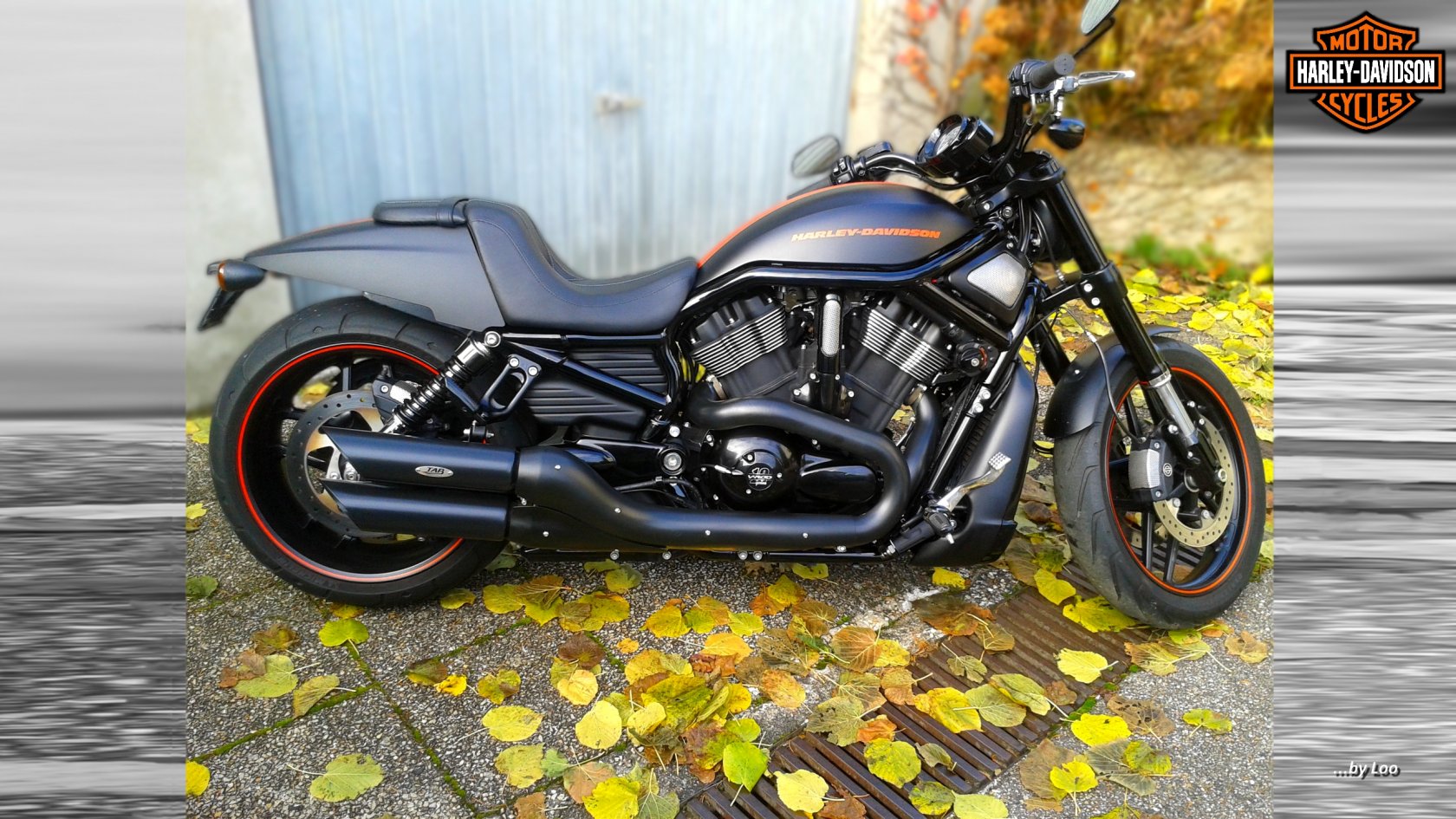 Fonds d'cran Motos Harley Davidson NIGHT ROD SPECIAL 2012