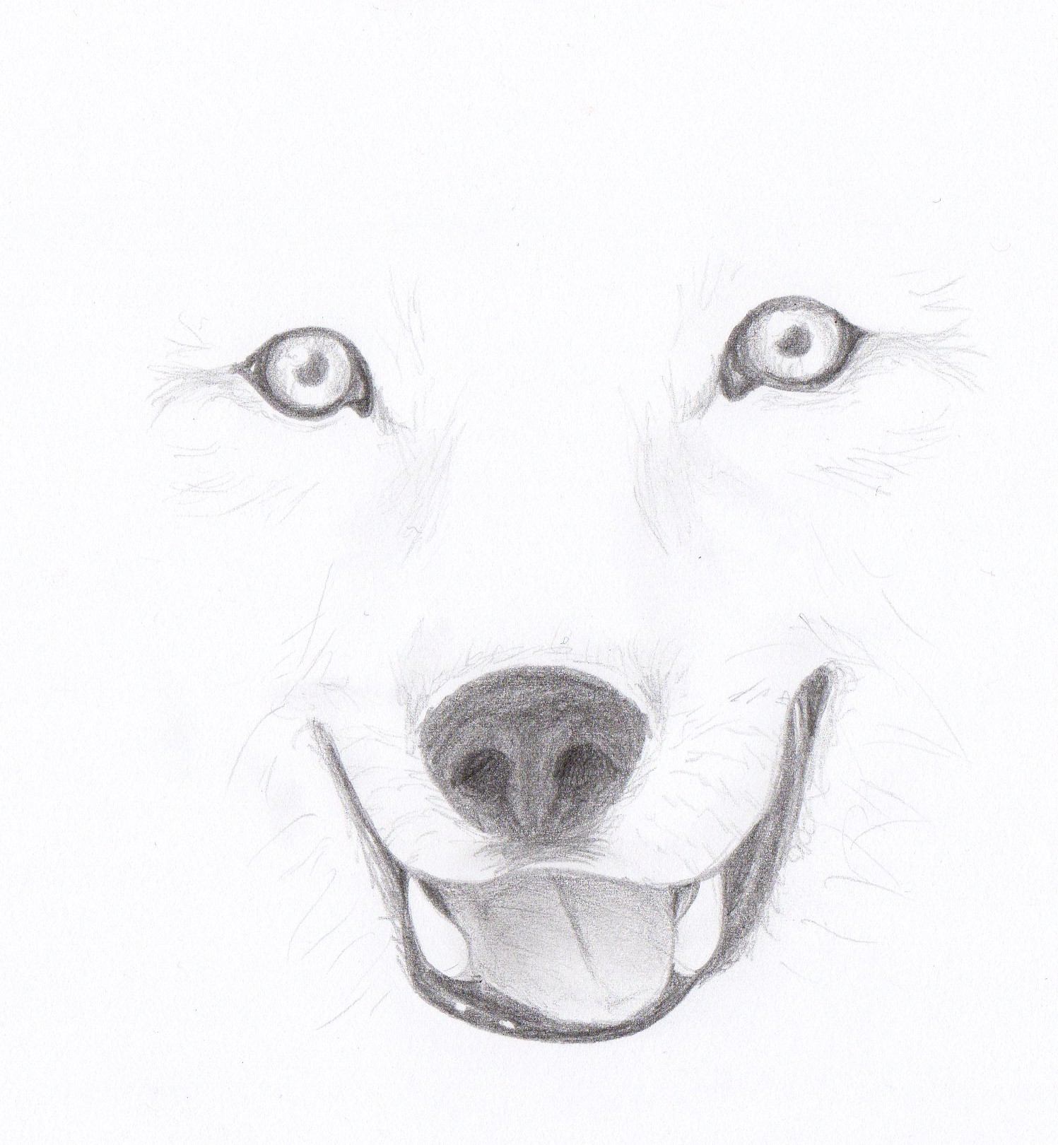 Fonds d'cran Art - Crayon Animaux - Loups Loup! :P