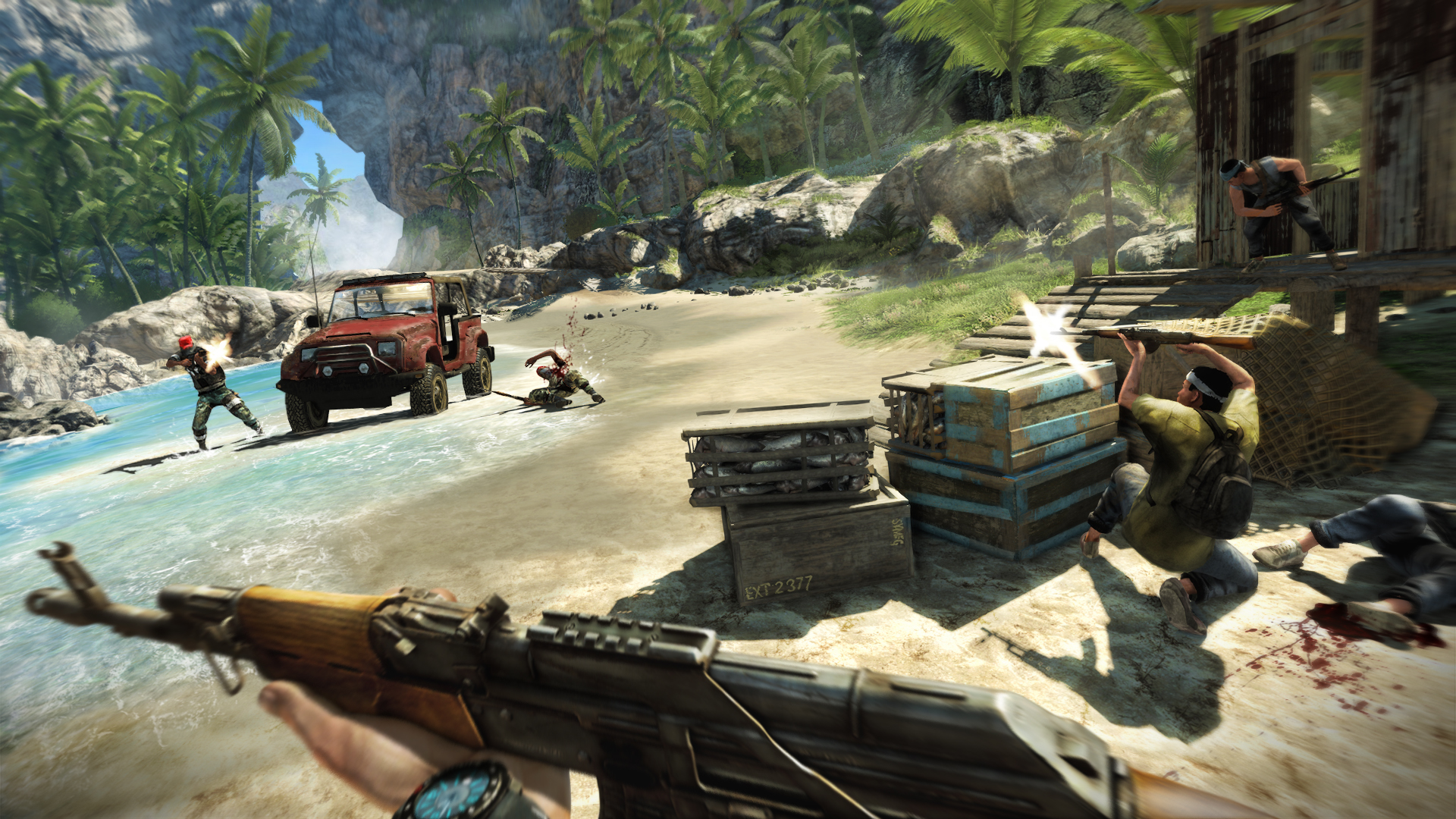 Fonds d'cran Jeux Vido Far Cry 3 Far Cry 3