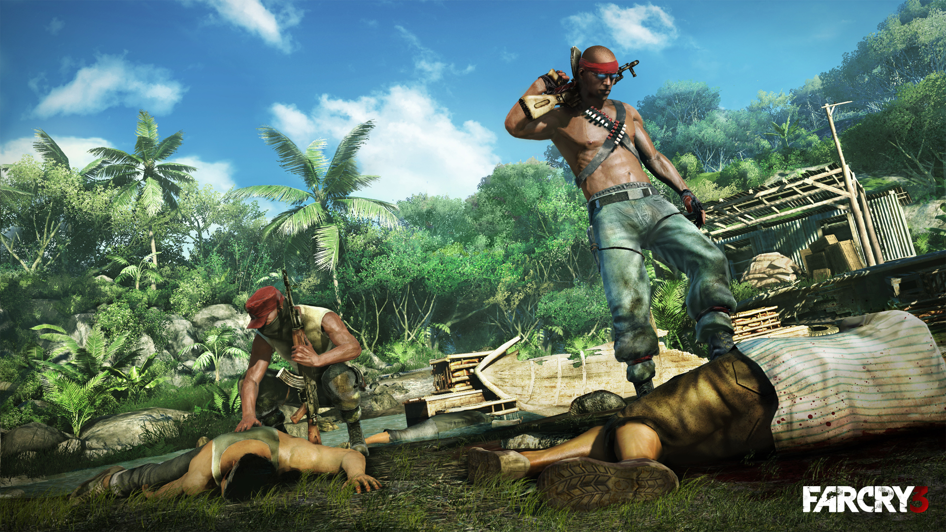 Fonds d'cran Jeux Vido Far Cry 3 Far Cry 3