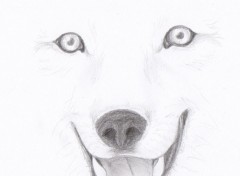  Art - Crayon Loup! :P