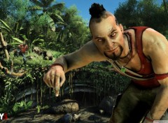  Jeux Vido Far Cry 3