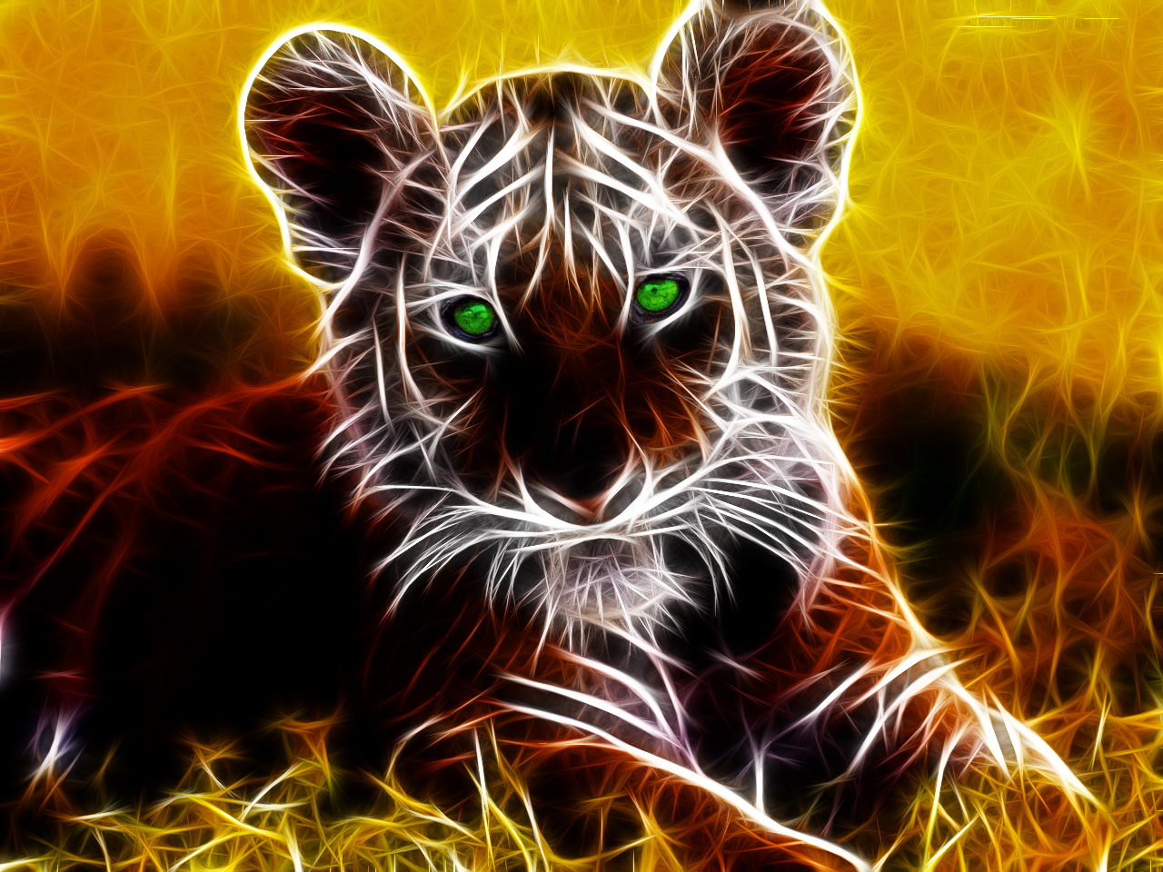 Wallpapers Animals Felines - Tigers 