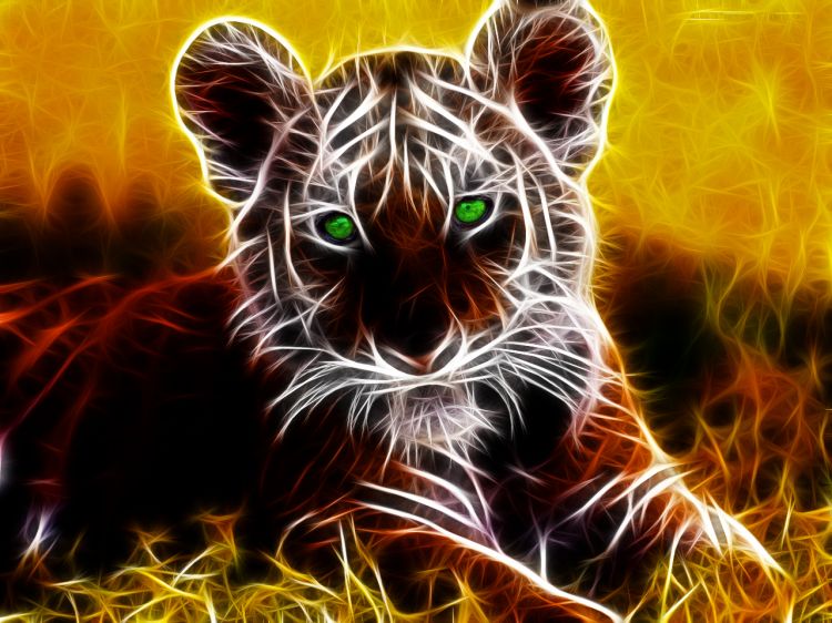 Wallpapers Animals Felines - Tigers Wallpaper N326295