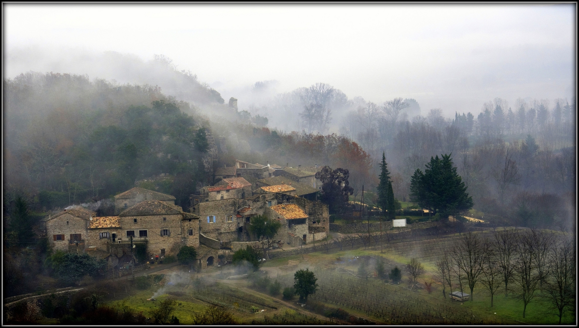 Wallpapers Nature Campaign Dans les brumes...