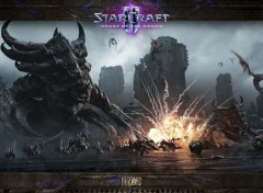  Jeux Vido heart of the swarm