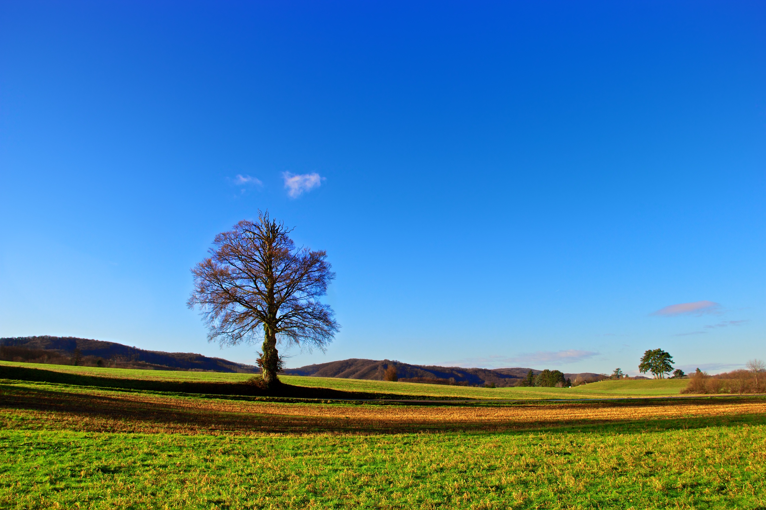 Fonds d'cran Nature Paysages Grand solitaire