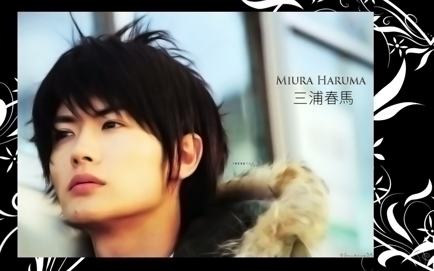 Wallpapers Celebrities Men Miura Haruma  Miura Haruma