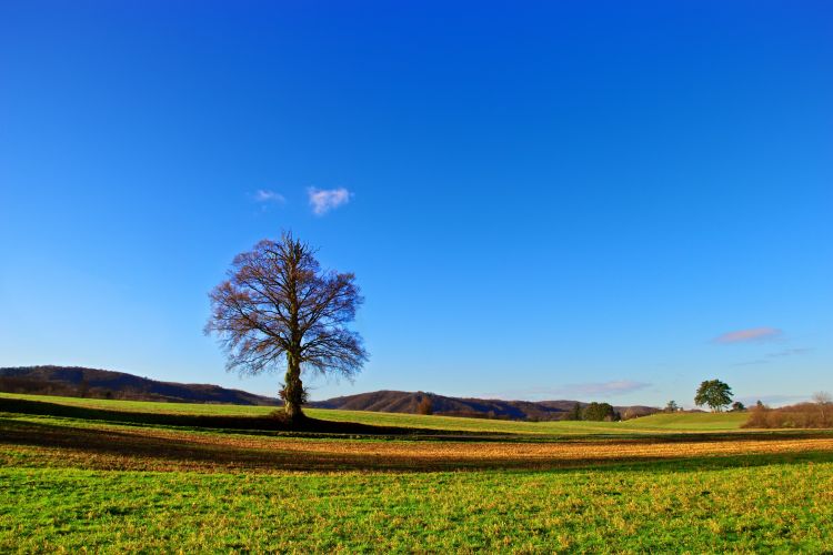 Fonds d'cran Nature Paysages Grand solitaire