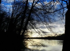  Nature bord de l' erdre du coté de nantes 