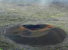  Voyages : Afrique ile de la reunion fevrier 2012