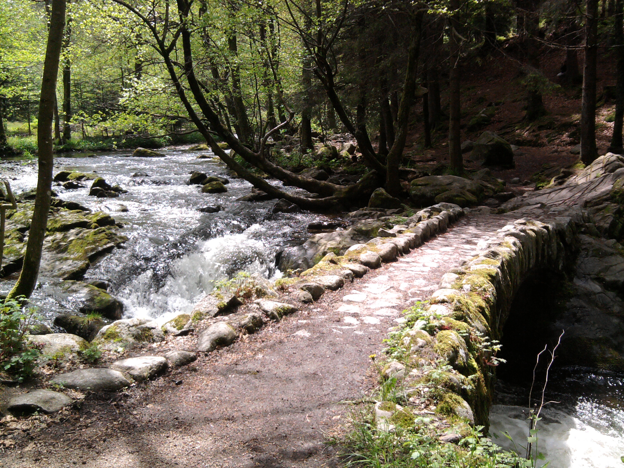 Fonds d'cran Nature Fleuves - Rivires - Torrents 