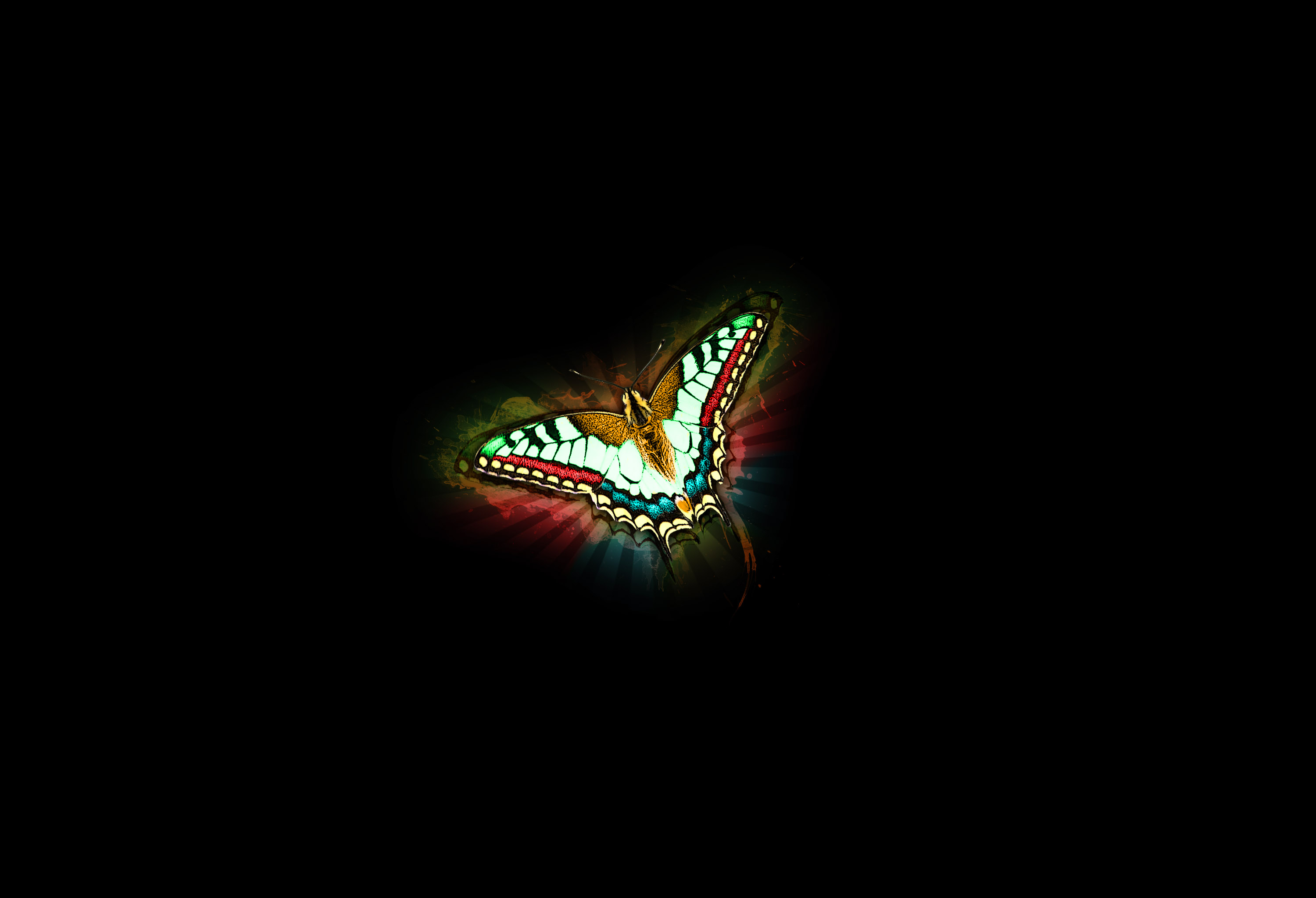 Wallpapers Digital Art Animals Butterfly