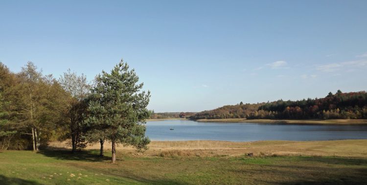 Fonds d'cran Nature Lacs - Etangs étang de Miallet