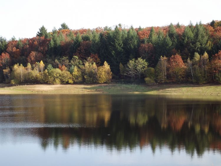 Fonds d'cran Nature Lacs - Etangs étang de Miallet