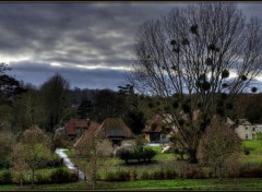  Nature Au gui l'an neuf !!!