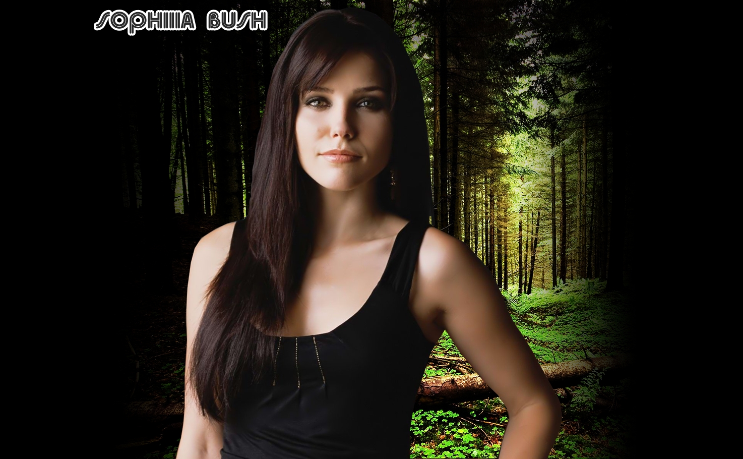 Fonds d'cran Clbrits Femme Sophia Bush Sophia Bush