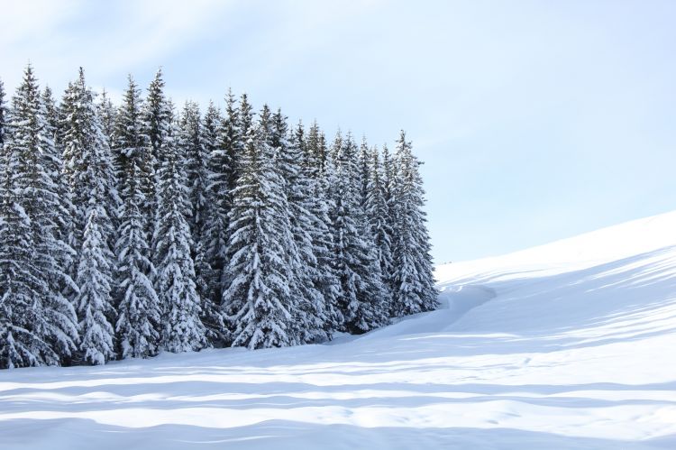 Wallpapers Nature Saisons - Winter Plateau de Beauregard dans les ARAVIS