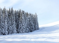  Nature Plateau de Beauregard dans les ARAVIS