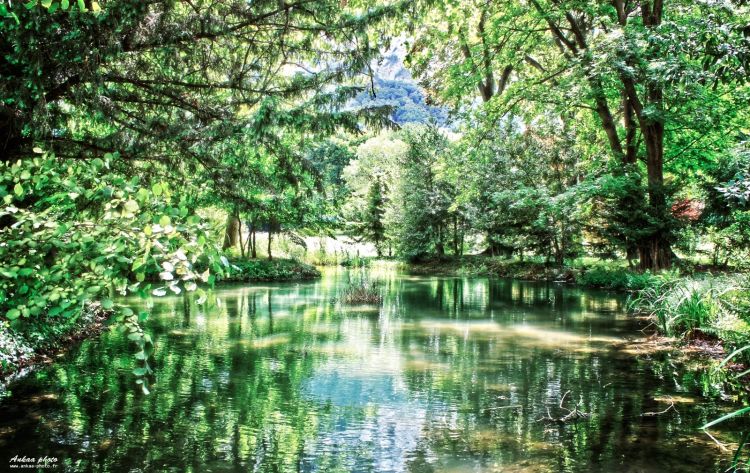 Fonds d'cran Nature Lacs - Etangs L'étang d'émeraude