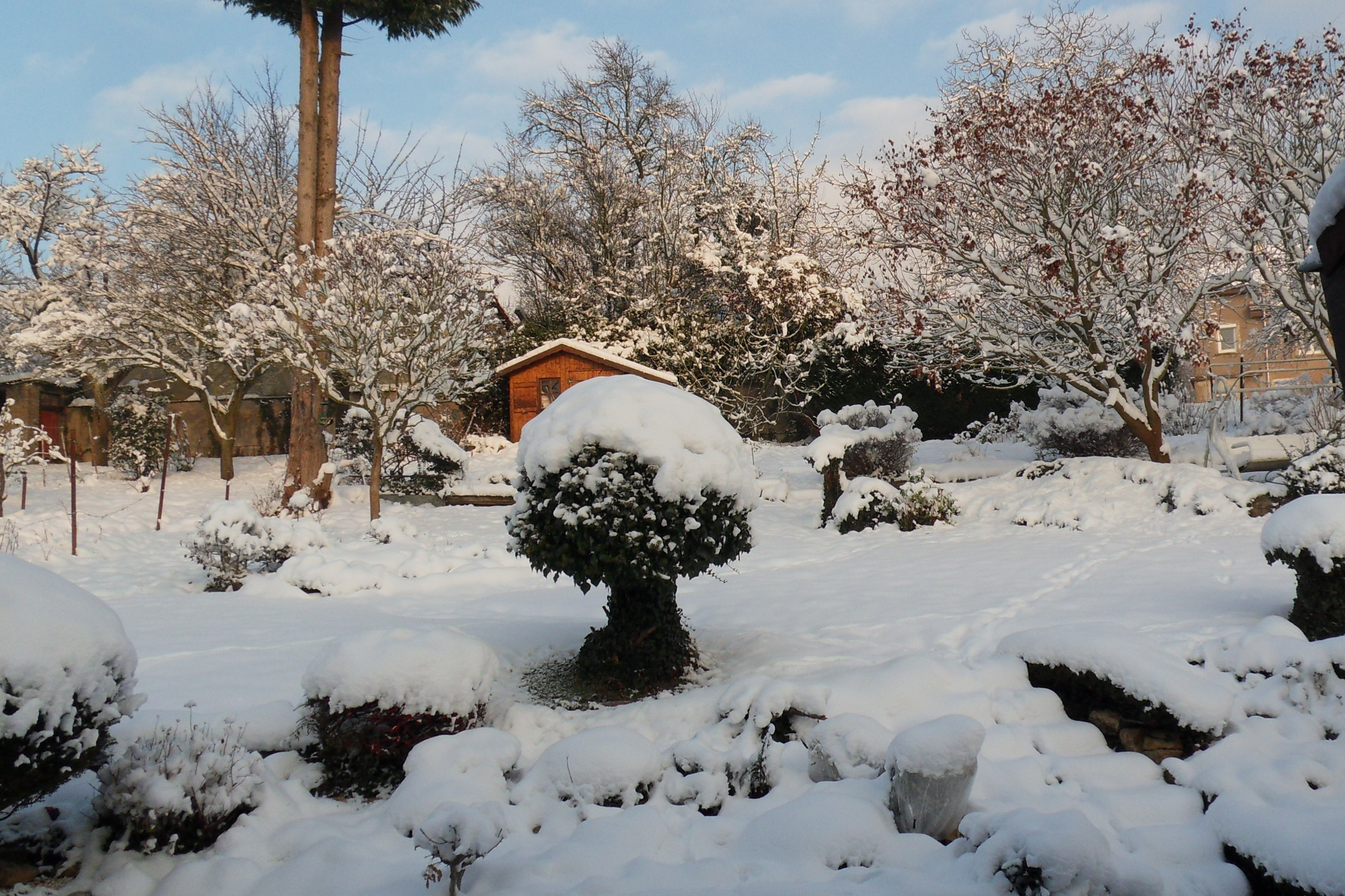 Fonds d'cran Nature Saisons - Hiver 