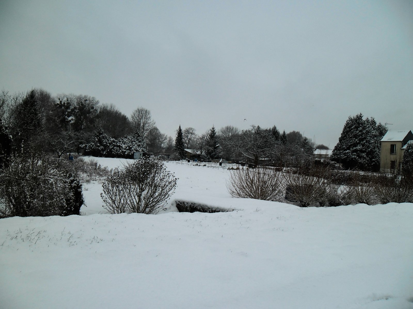 Fonds d'cran Nature Saisons - Hiver Neige