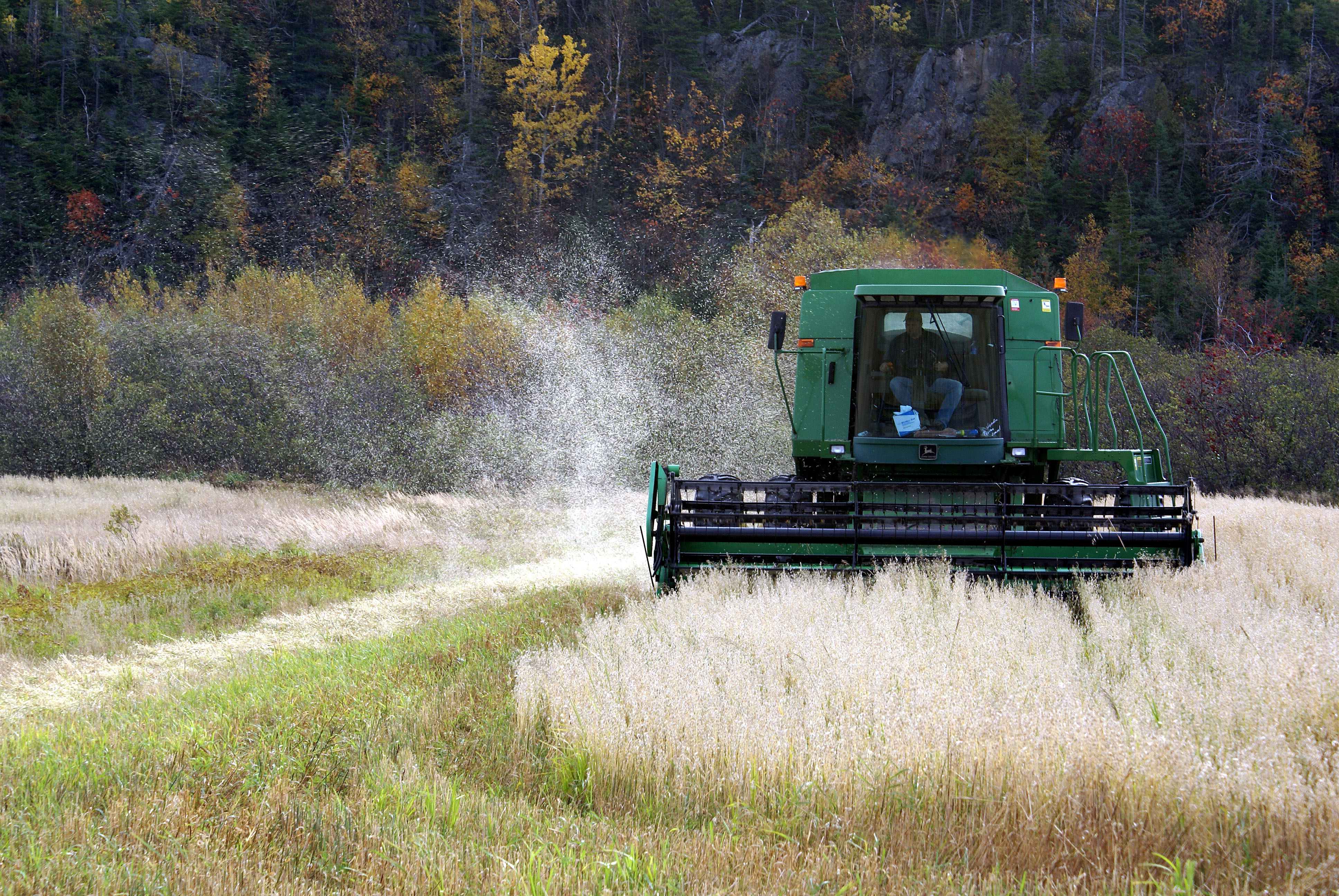 Fonds d'cran Transports divers Tracteurs LE MOISONNEUR