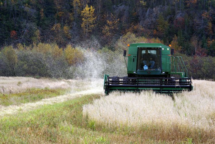 Fonds d'cran Transports divers Tracteurs LE MOISONNEUR