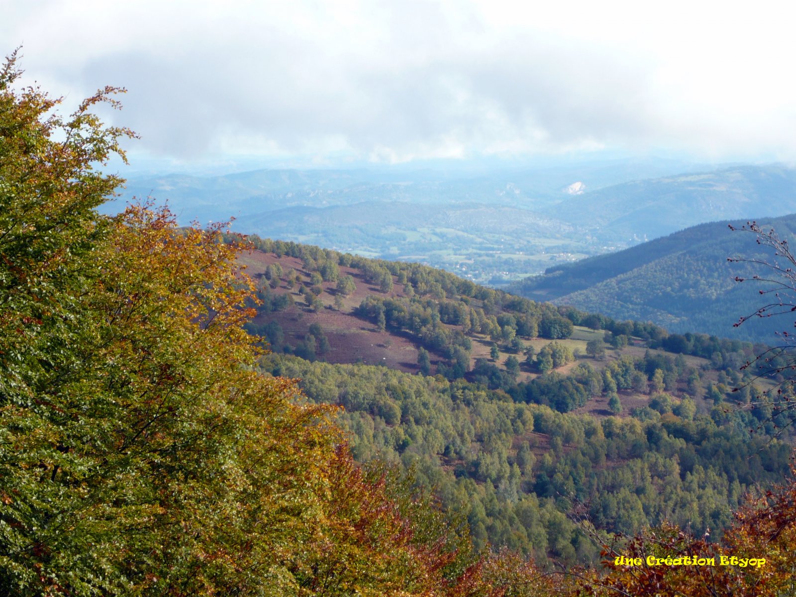 Fonds d'cran Nature Arbres - Forts Col de Lgrillou