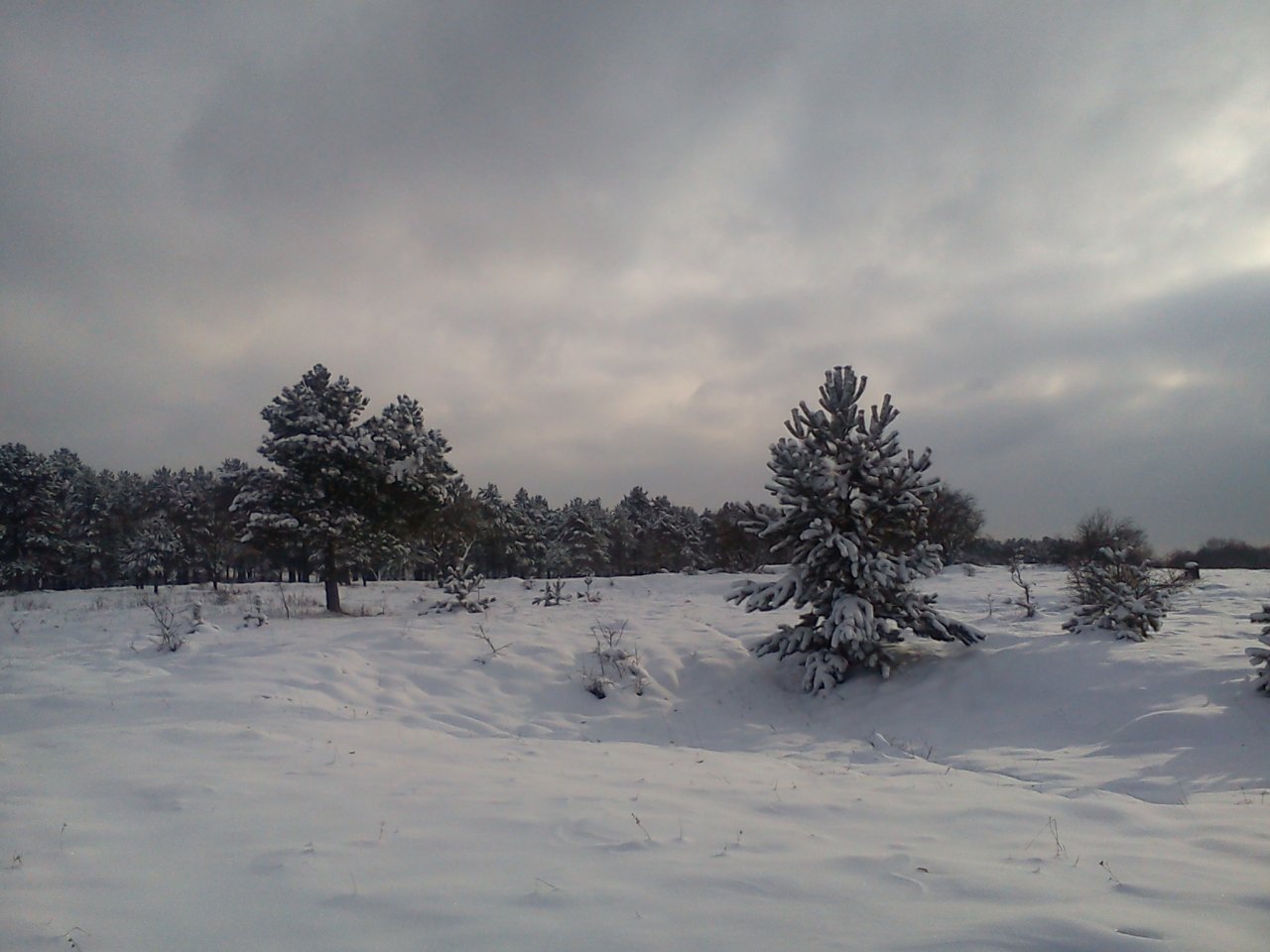 Fonds d'cran Nature Saisons - Hiver 