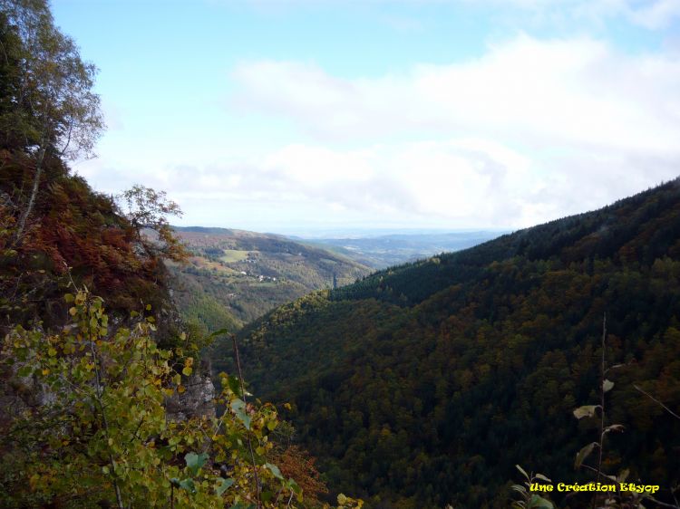 Fonds d'cran Nature Arbres - Forts Col de Lgrillou