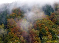  Nature Col de Lgrillou