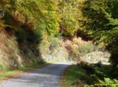  Nature Col de Lgrillou